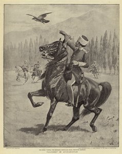 Cetrería en Afganistán